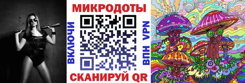 Псилоцибиновые грибы Psilocybine cubensis  Купить  Гай 